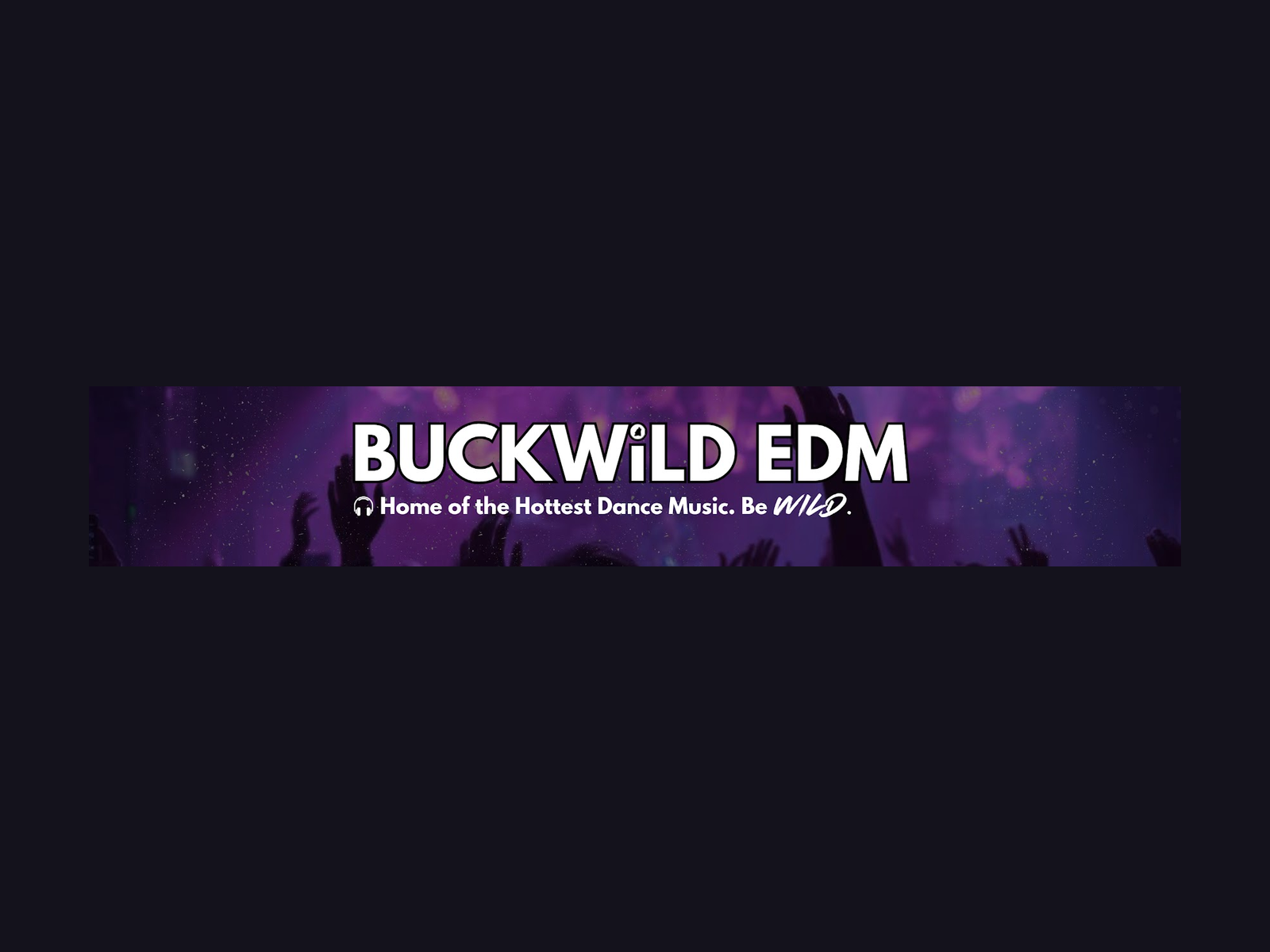 Buckwild EDM banner